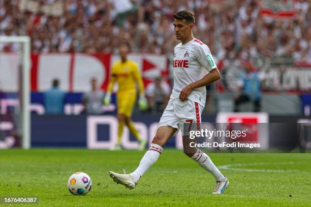 Dejan Ljubicic of 1. FC Koeln controls the ball during the Bundesliga match between 1. FC Köln and TSG Hoffenheim at RheinEnergieStadion on September...