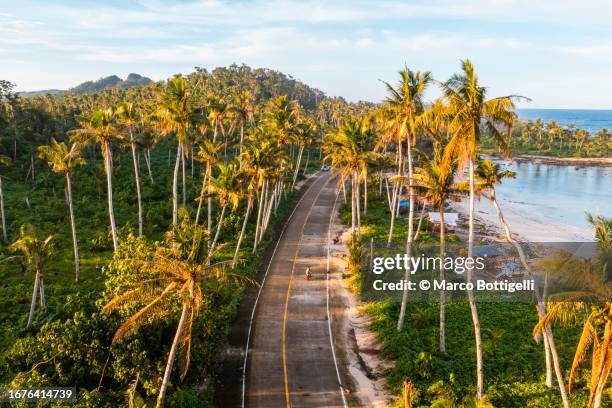 coastal road among palm trees, philippines - mindanao foto e immagini stock