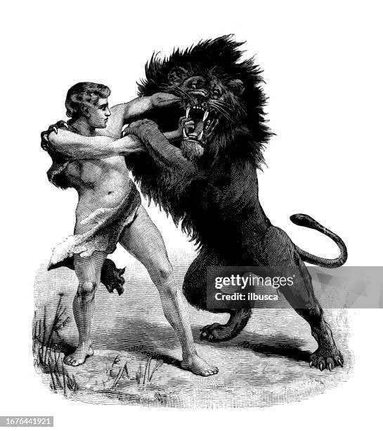 antique image from british magazine: man fighting lion - gladiator stock illustrations