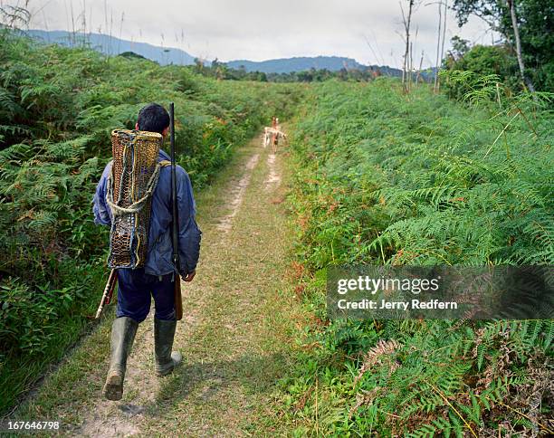 Guide Tony Paran heads down a trail leading to the jungle near Pa Lungan village in the Kelabit Highlands..