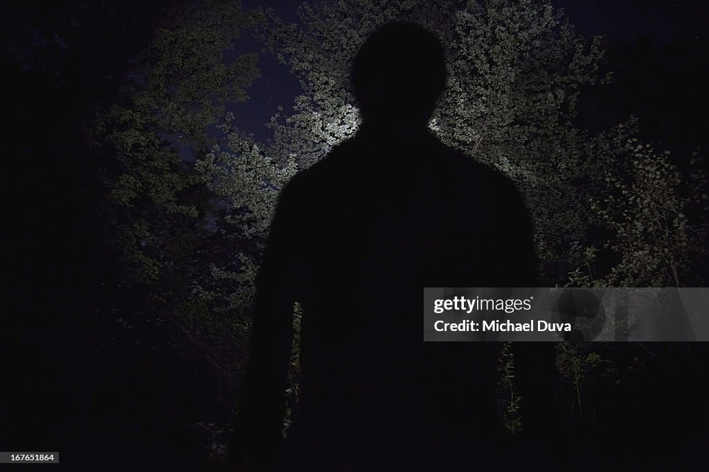 Large silhouette against trees from campfire