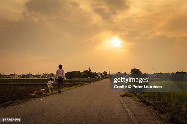 evening walk - gunma stock pictures, royalty-free photos & images