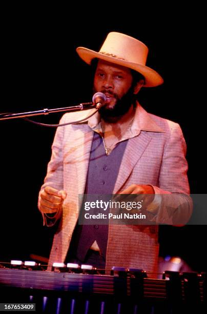 American jazz and funk musician Roy Ayers performs on stage, Chicago, Illinois, July 7, 1979.