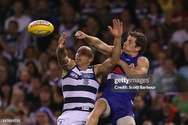 James Podsiadly of the Cats competes for the ball during the round five AFL match between the Western Bulldogs and the Geelong Cats at Etihad Stadium...