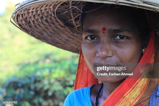 tea garden worker - bangladeshi woman stock pictures, royalty-free photos & images