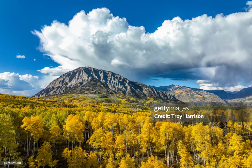 Colorado Fall Aspens