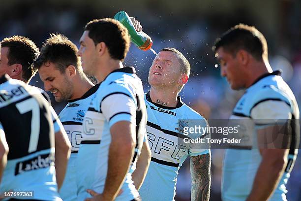 Todd Carney of the Sharks cools himself off with water during the round seven NRL match between the Sharks and the Bulldogs at Bluetongue Stadium on...