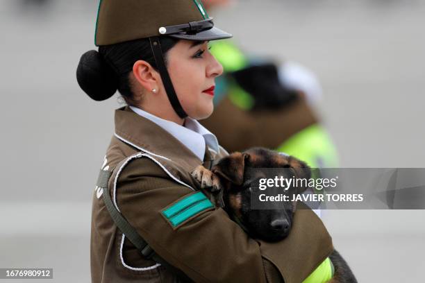 Female police officer of the K9 Unit carries a dog during the annual military parade in commemoration for the Day of the Glories of the Army, a...