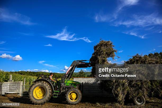 Aida Fernandes, member of the association United in Defense of Covas do Barroso and resident of the village of Covas do Barroso works on his farm on...