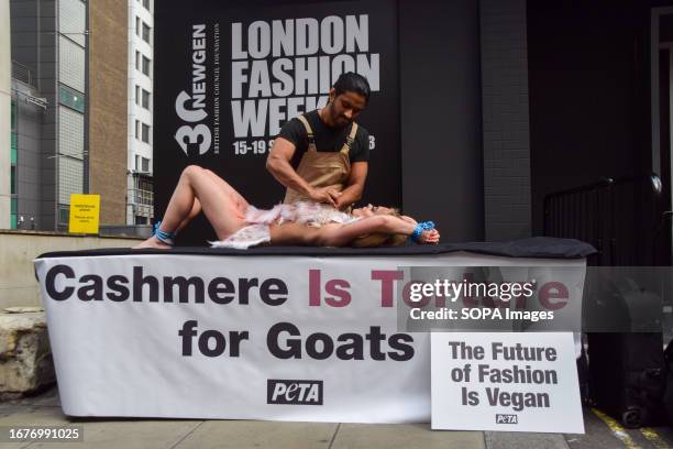 Partially nude activist wearing a goat fur costume is "painfully sheared" by another activist on a platform with a banner reading "Cashmere is...