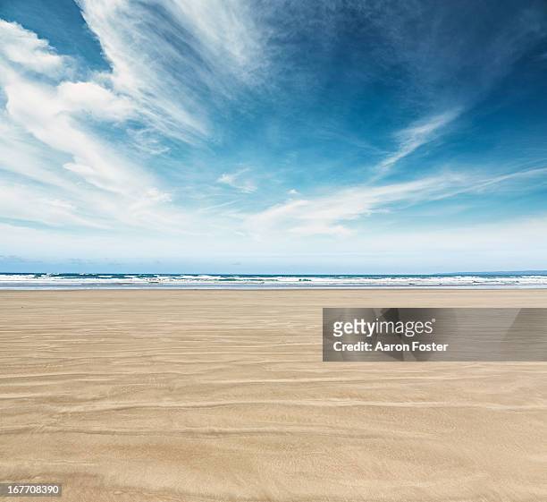 ocean beach - horizont stock-fotos und bilder