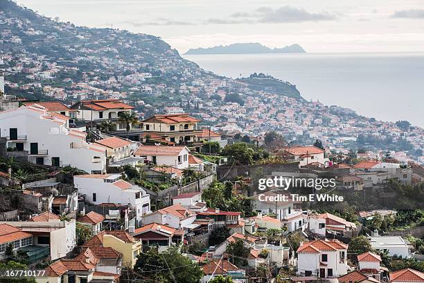 funchal, madeira, portugal - funchal stock pictures, royalty-free photos & images