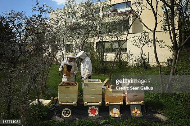 Beekeeper Eva Fisher and friend Chloe Hervell, a highschool exchange student from Utah, do a weekly checkup on Eva's four bee colonies next to an...