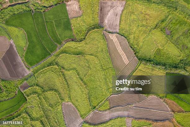 mapa de textura aérea de tierras agrícolas rurales - mapa en relieve fotografías e imágenes de stock