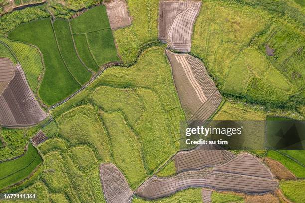 aerial texture map of rural farmland - contour map stock pictures, royalty-free photos & images