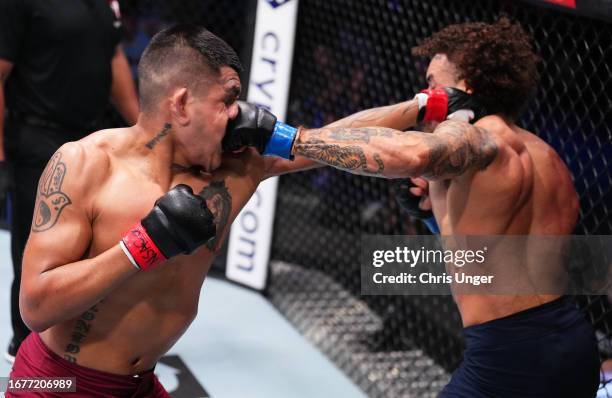Malik Lewis of Germany and James Llontop of Peru trade punches in a lightweight fight during Dana White's Contender Series season seven, week six at...