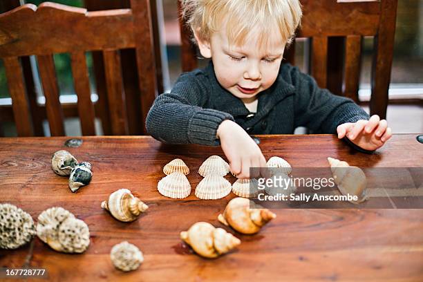 little toddler boy playing with shells - animal shell stock pictures, royalty-free photos & images