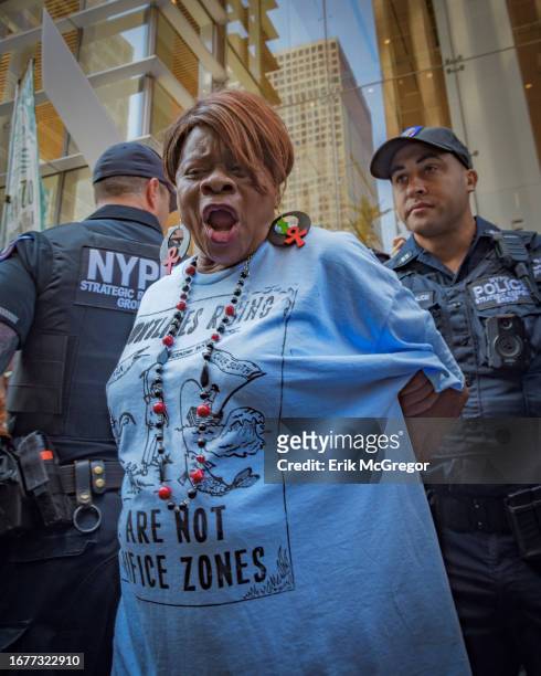 Climate activist seen being arrested by NYPD for blocking the entrance to Bank Of America Tower. Ahead of the Climate Ambition Summit in New York...