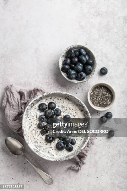 chia oatmeal porridge bowl with blueberries - harina de avena fotografías e imágenes de stock