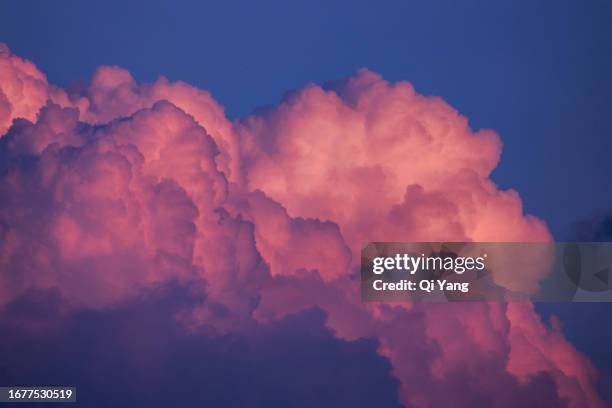 dramatic sky - climate policy stock pictures, royalty-free photos & images