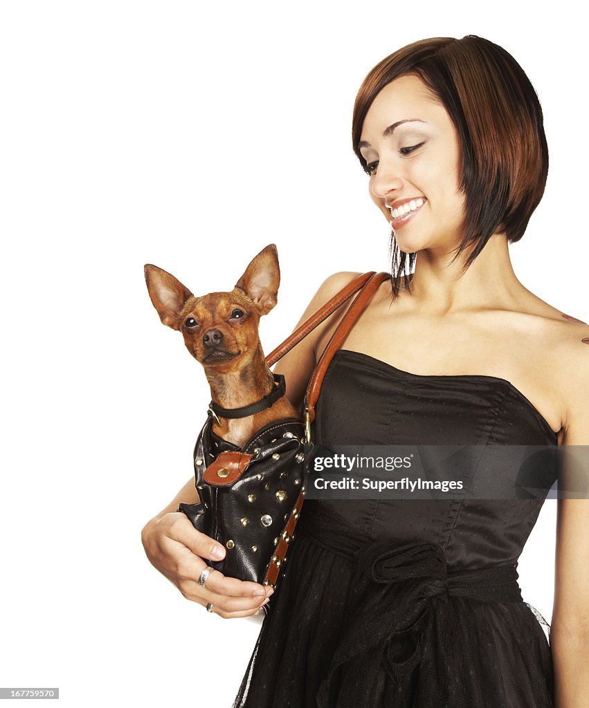 Bellissima giovane donna sorridente in Pet Chihuahua nella sua borsa