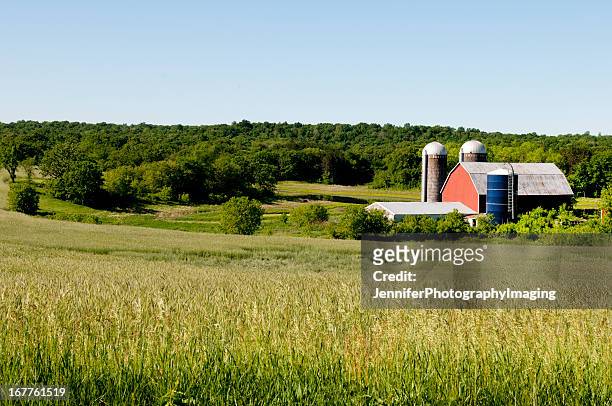 rote scheune in wisconsin - dairy farm stock-fotos und bilder