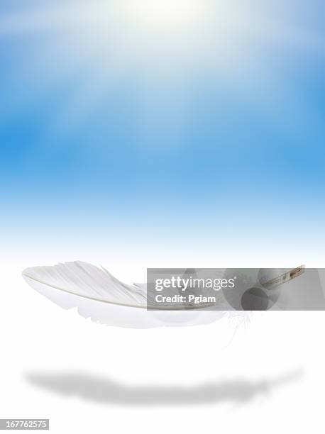 weightless feather in mid air - falling feathers stock pictures, royalty-free photos & images