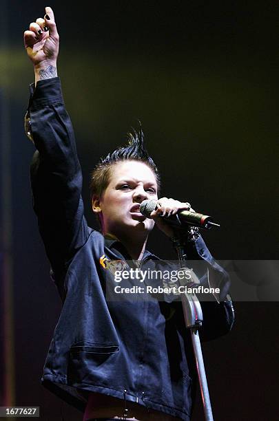 Singer Pink performs live on stage at the Rumba Music Festival at Telstra Dome on December 8, 2002 in Melbourne, Australia. The one day music...