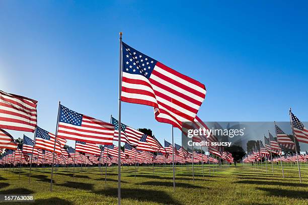 american flags con cielo azul - flag day fotografías e imágenes de stock