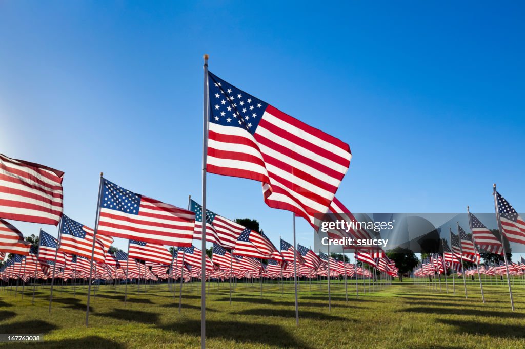 American Flags with Blue Sky