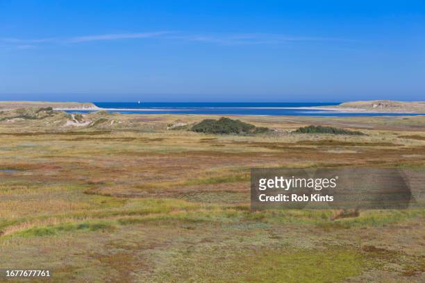 the slufter estuary  near de koog on texel island - tidal marsh stock pictures, royalty-free photos & images