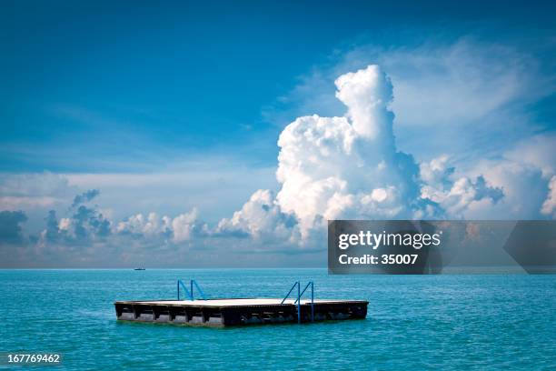 3,204 Floating Rafts Stock Photos, High-Res Pictures, and Images ...