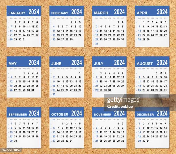 calendar 2024 on cork board - office post it notes stock illustrations