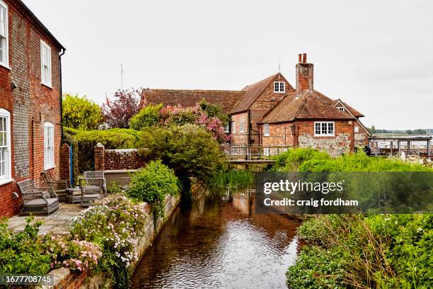 bosham, chichester. - flora environment stock pictures, royalty-free photos & images