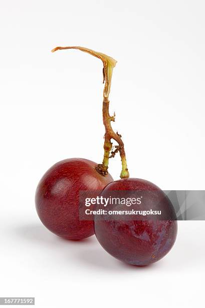 bündel von red grape - red grapes stock-fotos und bilder