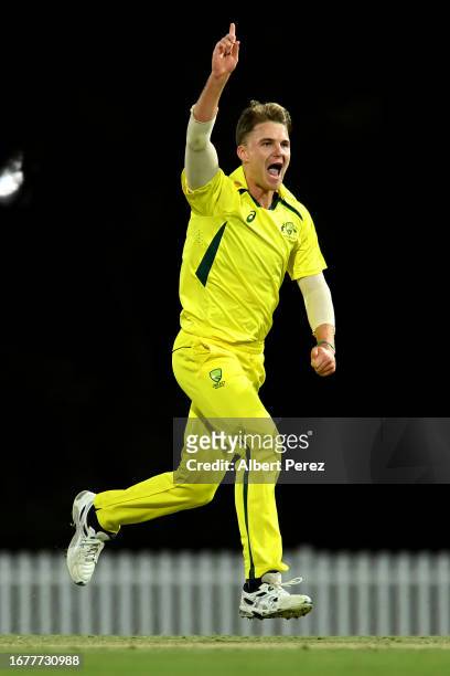 Henry Thornton of Australia A celebrates dsimissing Leo Carter of New Zealand A during the match between Australia A and New Zealand A at Allan...