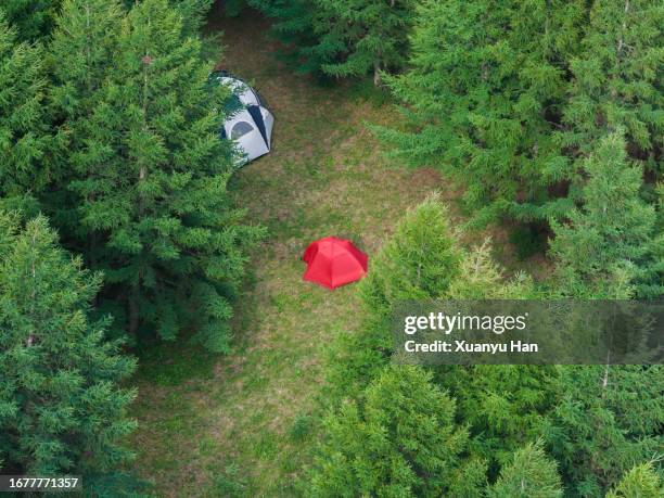 aerial top view of small tents in forest - tents aerial stock pictures, royalty-free photos & images