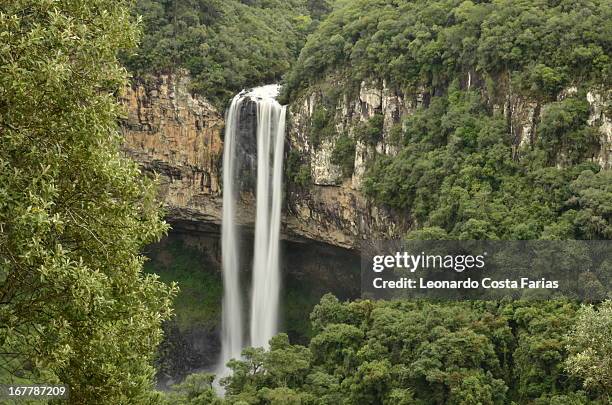 véu da noiva waterfall - noiva bildbanksfoton och bilder