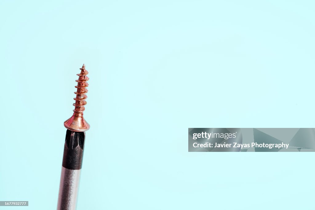 Self Tapping Screw Attached on the Top of a Screwdriver