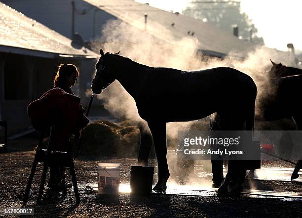 Steam rises from a horse as it is washed in the barn area during morning training in preperation for the 2013 Kentucky Derby at Churchill Downs on...