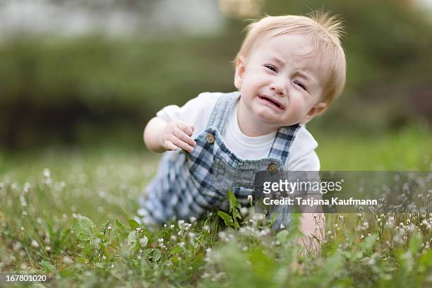 crying baby crawling in grass - 這う ストックフォトと画像