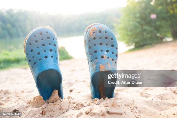 plastic flip-flops on the shore of a lake in the forest in summer. nature holiday concept - ciabatta infradito foto e immagini stock