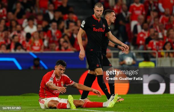 Petar Musa of SL Benfica reaction after missing a goal opportunity during the Group D - UEFA Champions League 2023/24 match between SL Benfica and FC...
