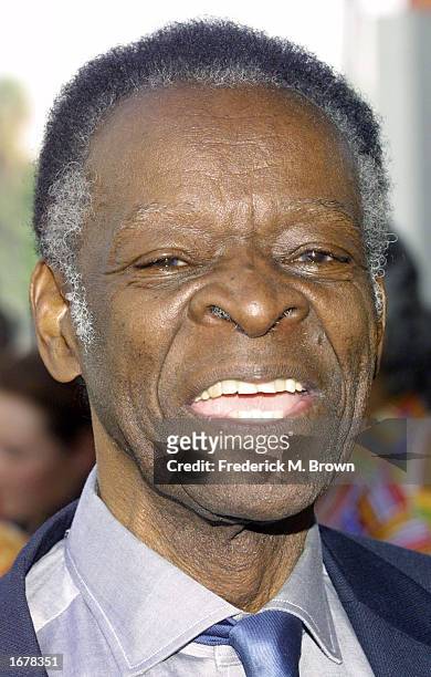 Actor Brock Peters attends the film premiere of The Wild Thornberrys at the Cinerama Dome on December 8, 2002 in Hollywood, California. The movie...