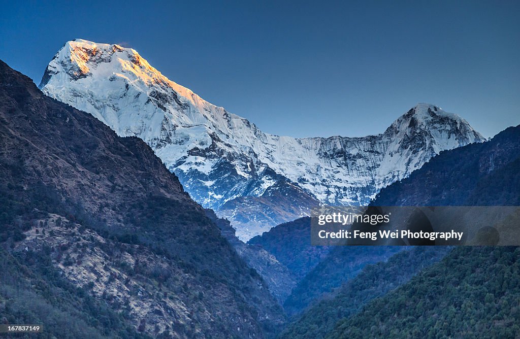 Sunrise Over Annapurna South and Hiunchuli