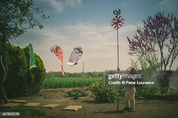 koinoburi - carp streamers - in a japanese garden stock pictures, royalty-free photos & images