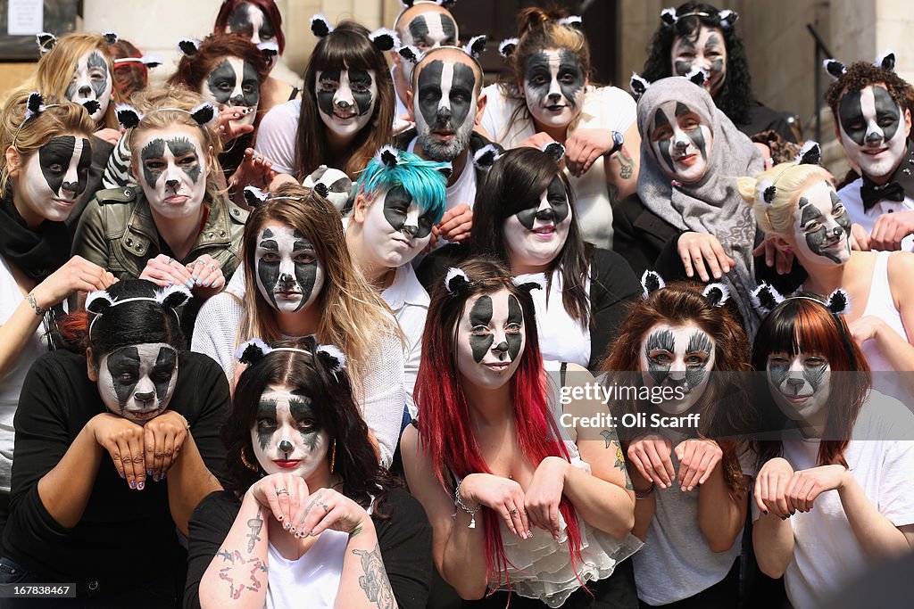 Badger Cull Protest