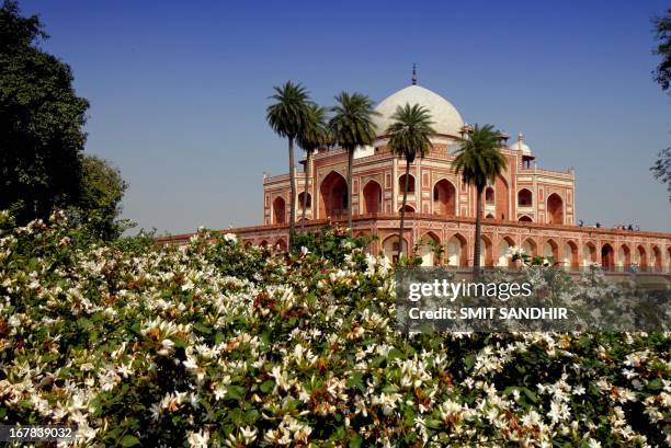 tomb of humayun - humayan's tomb stock pictures, royalty-free photos & images