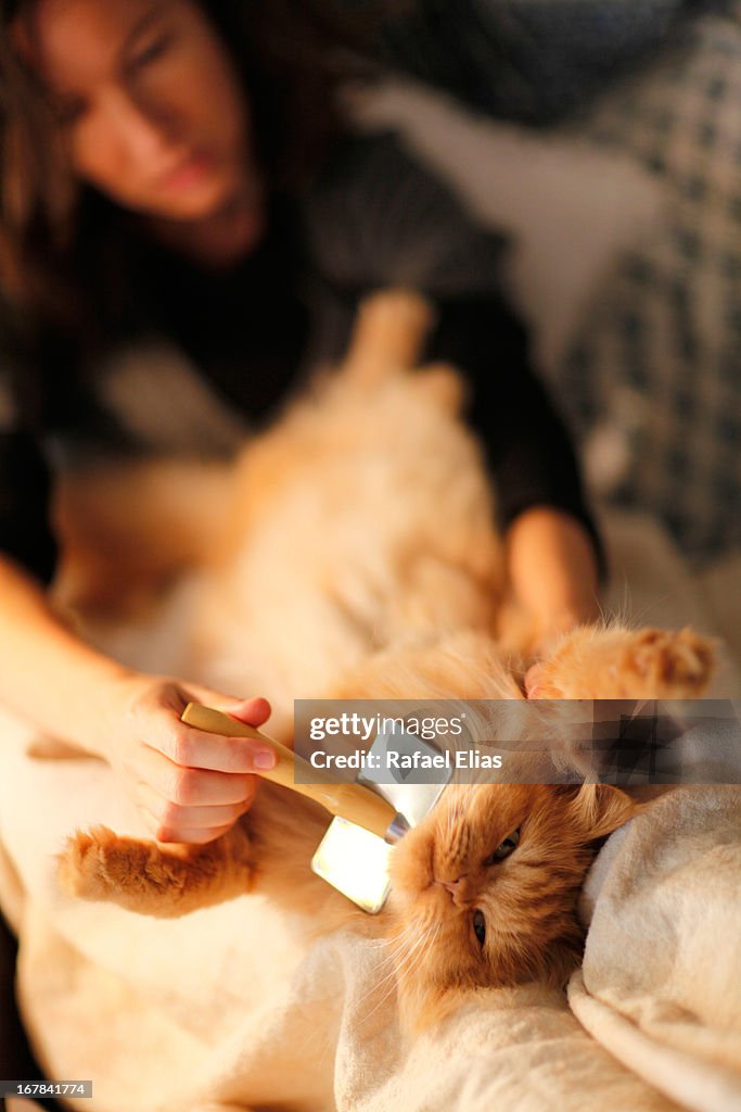 Woman brushing cat