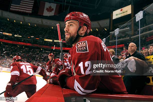 Paul Bissonnette of the Phoenix Coyotes looks on from the bench against the Colorado Avalanche at Jobing.com Arena on April 26, 2013 in Glendale,...